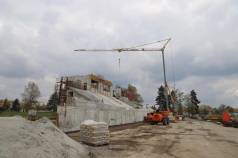 Mini IMG 6214